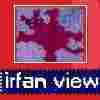 IrfanView image link